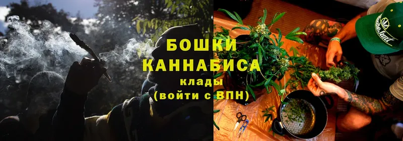 Шишки марихуана Amnesia  сколько стоит  Данков 